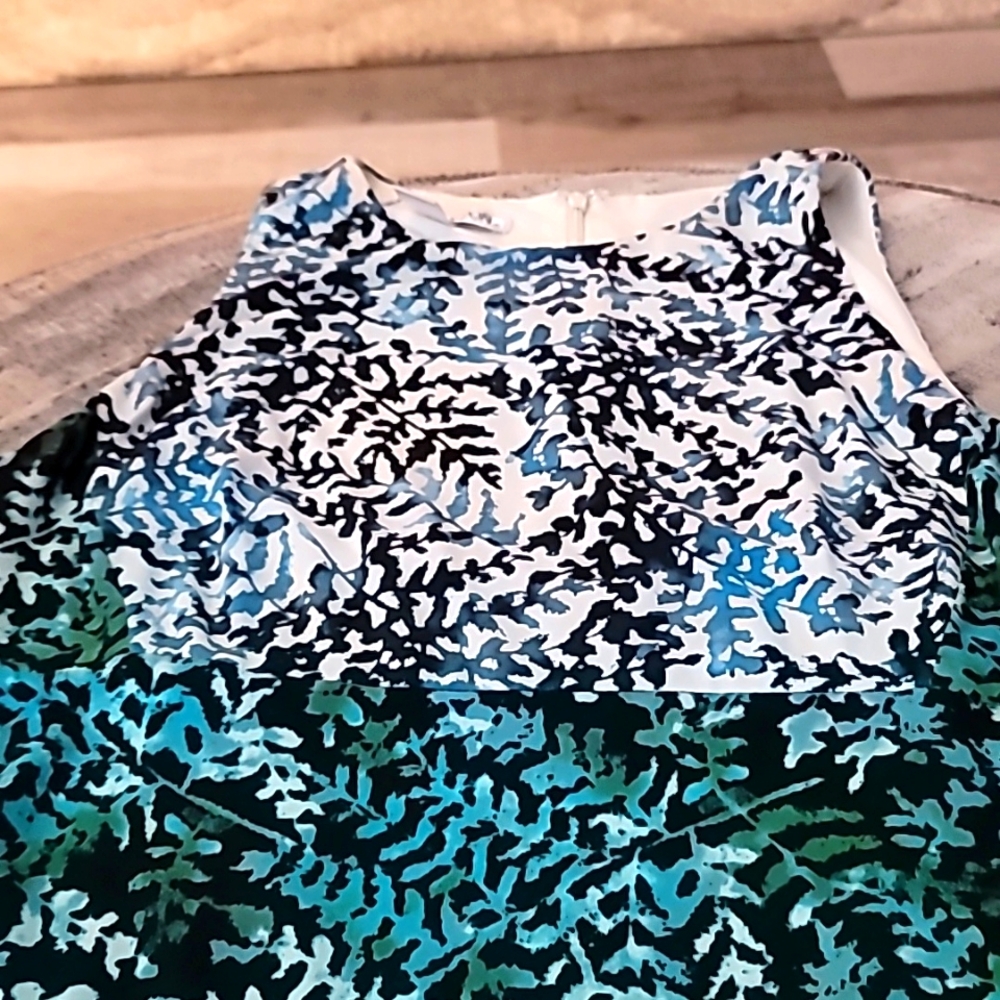 BEAUTIFUL DRESS - Picture 2 of 4